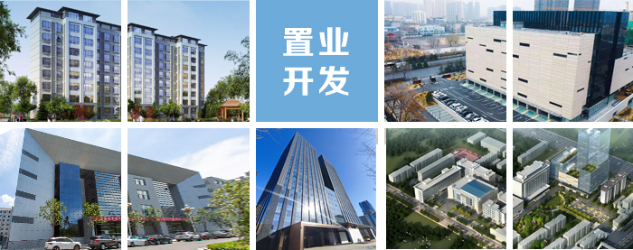 置業開發